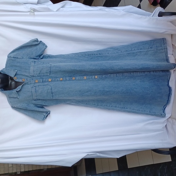 Given Kale Denim Button-Up Maxi Dress, Sz M, 21" PTP, 50" L - Picture 1 of 9